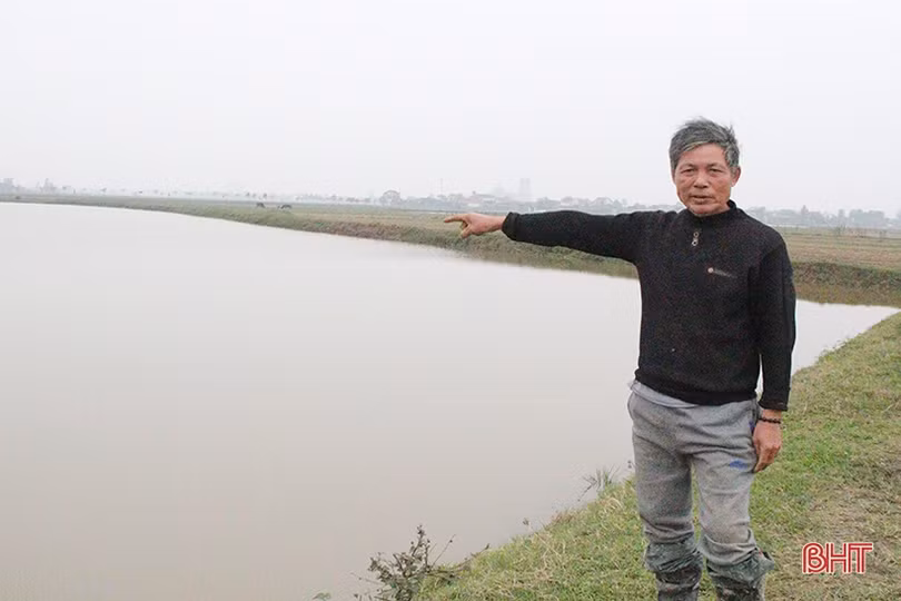 Nông dân Hà Tĩnh “dệt mùa xuân” trên những cánh đồng