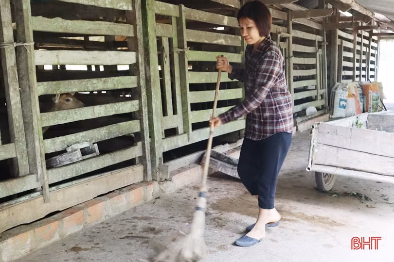 Gỡ “nút thắt”, tạo động lực mới giúp phụ nữ Hà Tĩnh phát triển kinh tế hộ