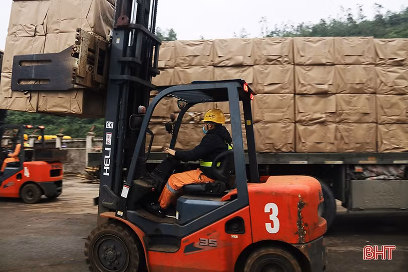 Xuân mang niềm tin mới