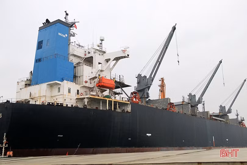 Xuân mang niềm tin mới