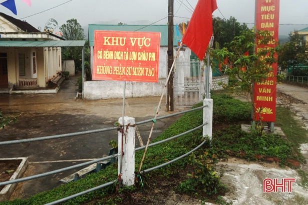 Vũ Quang tiêu hủy gần 4 tạ gia súc mắc bệnh dịch tả lợn châu Phi