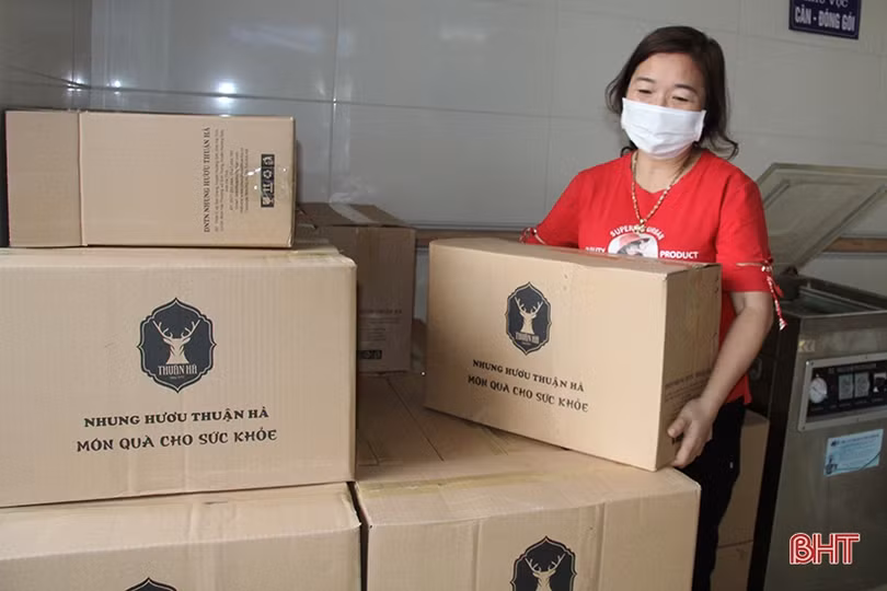 Tết còn 3 tuần, nhiều cơ sở OCOP của Hương Sơn đã kín đơn hàng