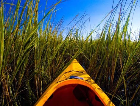 Đi thuyền kayak ở bang Nam Carolina.