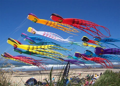 Lễ hội thả diều vào mùa hè ở thành phố Lincoln, bang Oregon. Năm 2008, khi bức ảnh này được chụp, thành phố Lincoln đã lập kỷ lục Guiness về số lượng diều hình những con mực khổng lồ được thả lên trời.