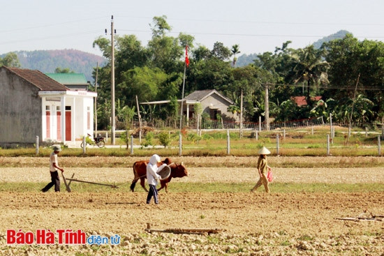 Vượt khó sản xuất hè thu ảnh 1