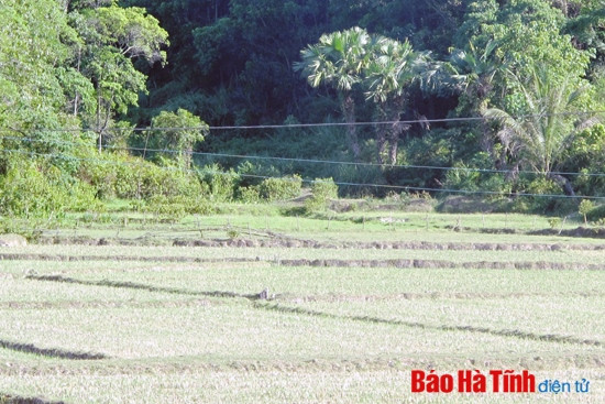 Cần sớm tu sửa, nâng cấp đập Khe Soong ảnh 1