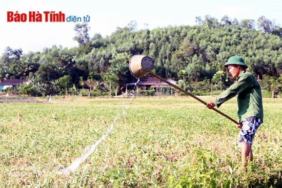Hà Tĩnh "gồng mình" trong đại hạn! ảnh 4