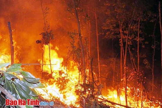 Hà Tĩnh "gồng mình" trong đại hạn! ảnh 6