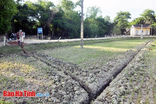 Quay quắt với khô hạn, người dân thôn Đông Mỹ, xã Sơn Hòa (Hương Sơn) phải đào toác cả ruộng để lắp đặt ống nhựa dài hàng cây số dẫn nước từ giếng làng giữa đồng về dùng