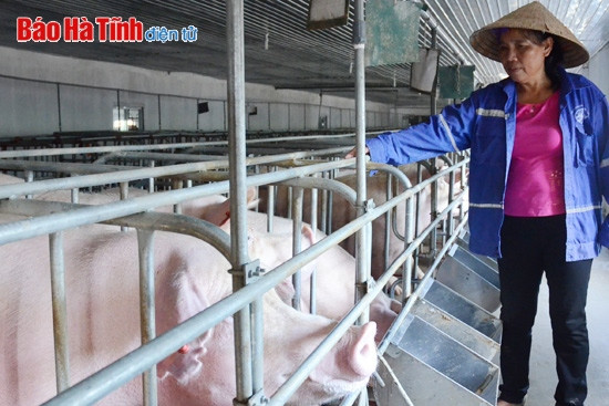 Khi ngân hàng chung tay xây dựng nông thôn mới ảnh 2