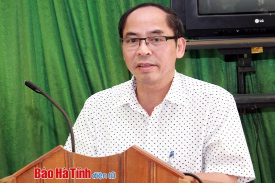 Cử tri Hương Sơn quan tâm đến hiệu quả dự án trong KCN Đại Kim ảnh 1