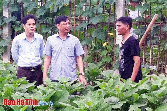 Nhóm xã về đích NTM năm 2015 ở Thạch Hà: Ngổn ngang công việc! ảnh 1