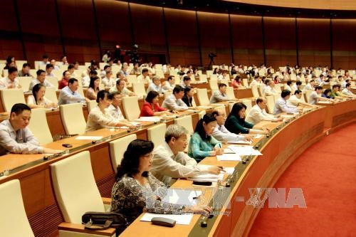 Quốc hội thông qua chủ trương xây sân bay Long Thành ảnh 2