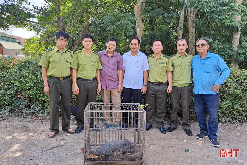 Hà Tĩnh chung tay cứu hộ, bảo vệ động vật hoang dã