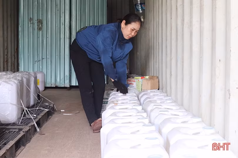 Mở hướng phát triển kinh tế từ cây tràm năm gân