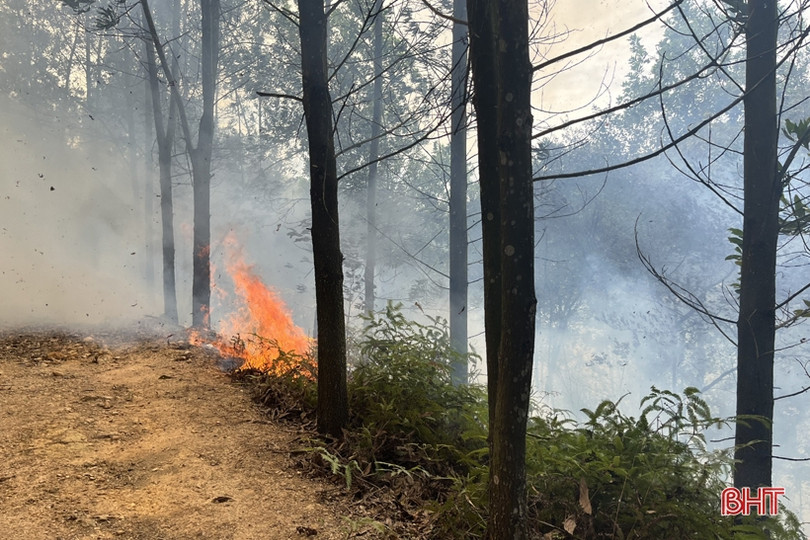 Gần 2 ha rừng keo ở Hương Sơn bị cháy