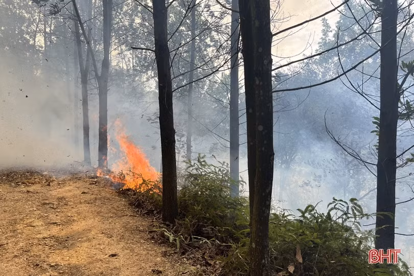 Gần 2 ha rừng keo ở Hương Sơn bị cháy
