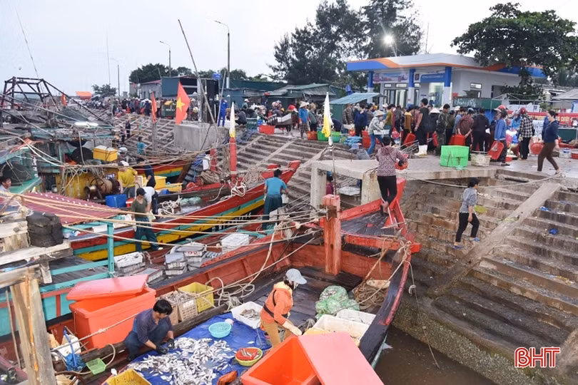 Chợ cá Kim Đôi...