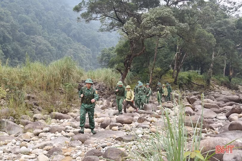 Hà Tĩnh xử lý nghiêm các vụ lấn chiếm đất lâm nghiệp, chặt phá rừng