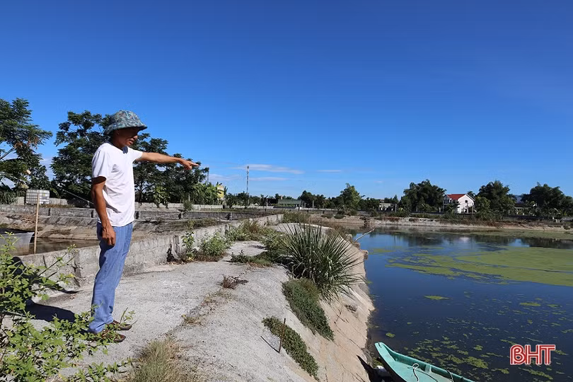 Anh nông dân thu hơn 1 tỷ đồng mỗi năm từ nuôi cá giống