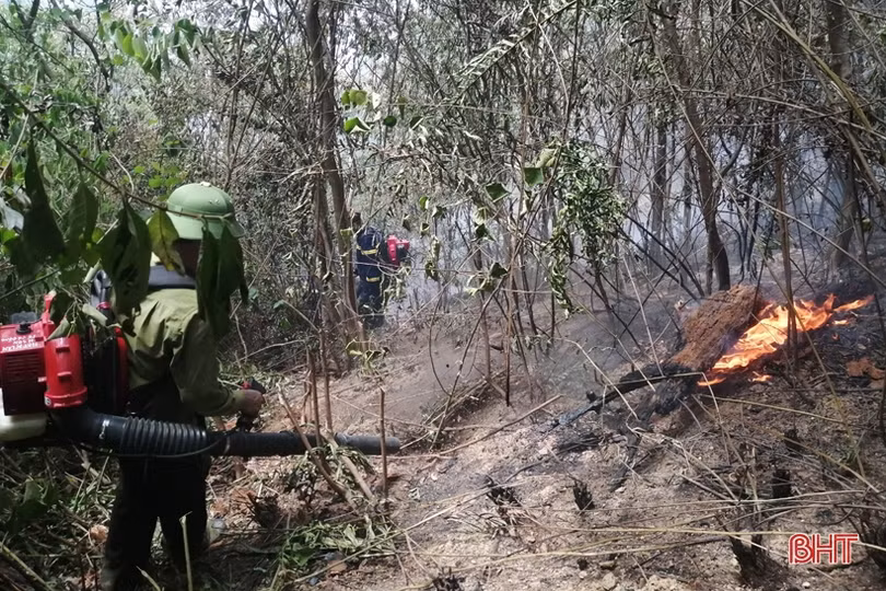 Gần 2 ha rừng keo ở Hương Sơn bị cháy