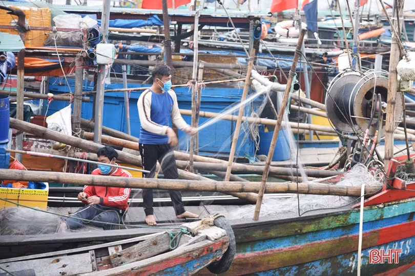 Lộc Hà phát huy lợi thế vùng biển cửa trong sản xuất ngư nghiệp