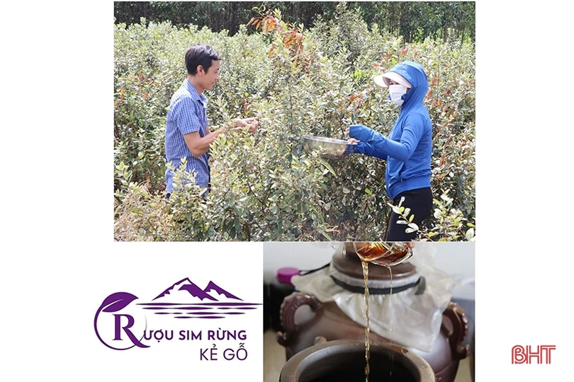 Khởi nghiệp từ “đặc sản” của núi rừng Kẻ Gỗ