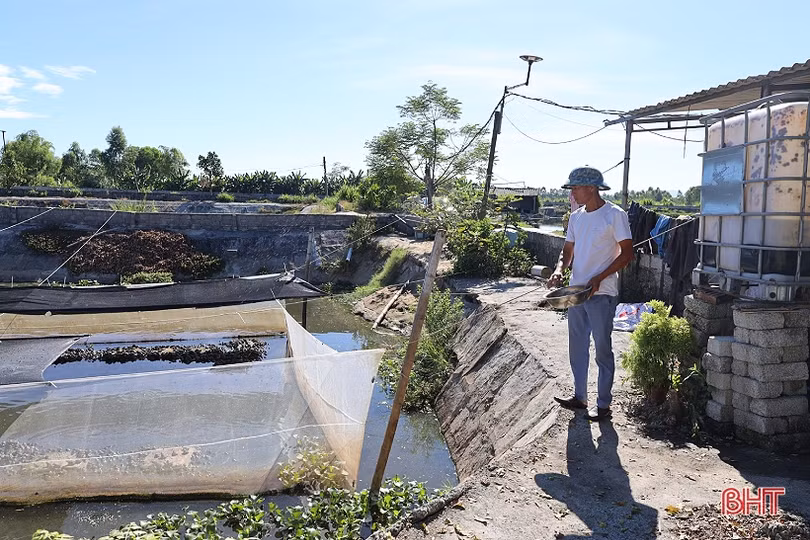 Anh nông dân thu hơn 1 tỷ đồng mỗi năm từ nuôi cá giống