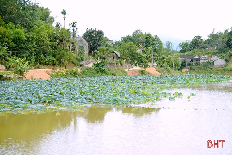 Biến ao tù nước đọng thành hồ điều hòa xanh mát ở Hà Tĩnh