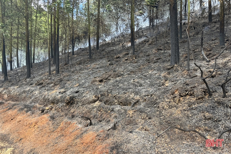 Gần 2 ha rừng keo ở Hương Sơn bị cháy