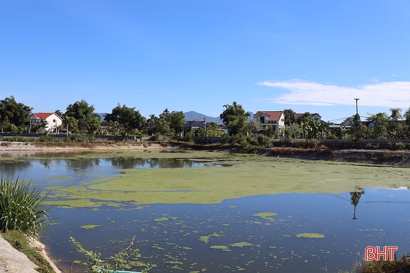 Anh nông dân thu hơn 1 tỷ đồng mỗi năm từ nuôi cá giống