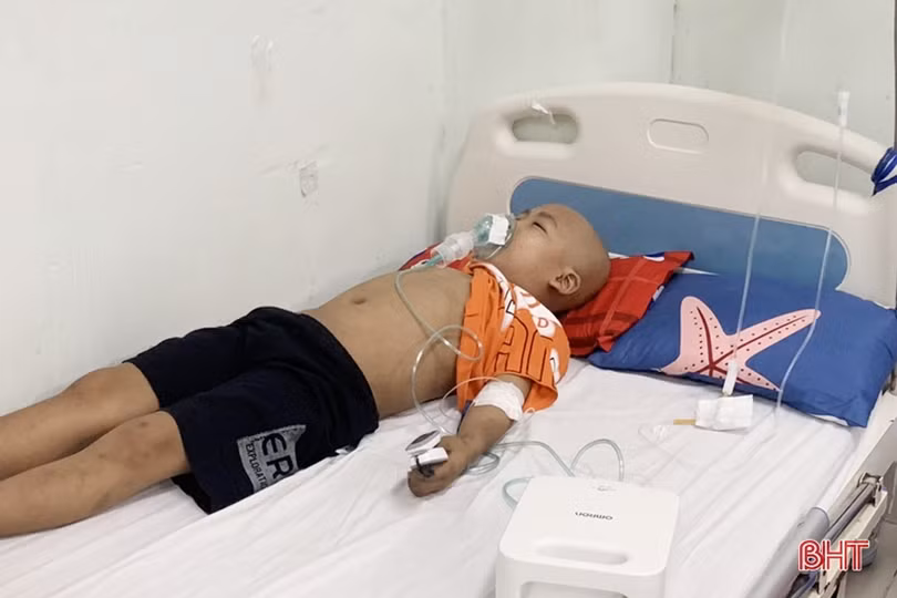 MS2313: Người mẹ nghèo muốn thay con trai 8 tuổi chịu những cơn đau của bệnh ung thư máu