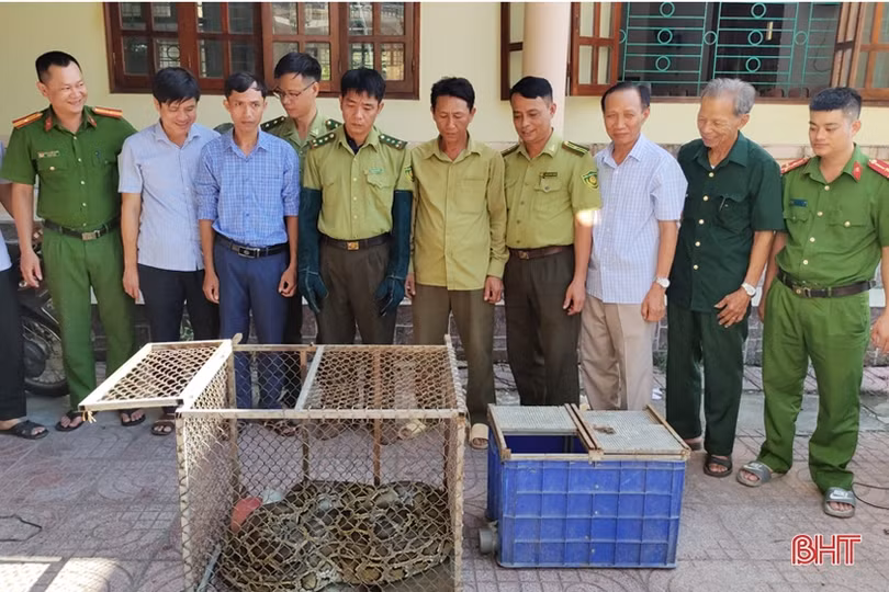Hà Tĩnh chung tay cứu hộ, bảo vệ động vật hoang dã
