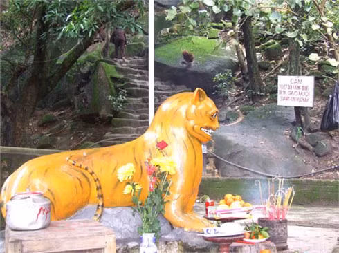 Nơi hội tụ khí thiêng Ngàn Hống