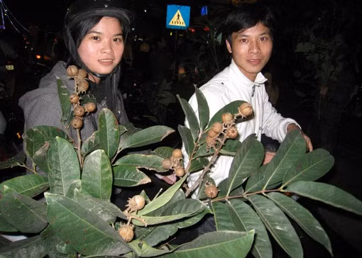 Bẻ cả cành to, cả ngọn chính