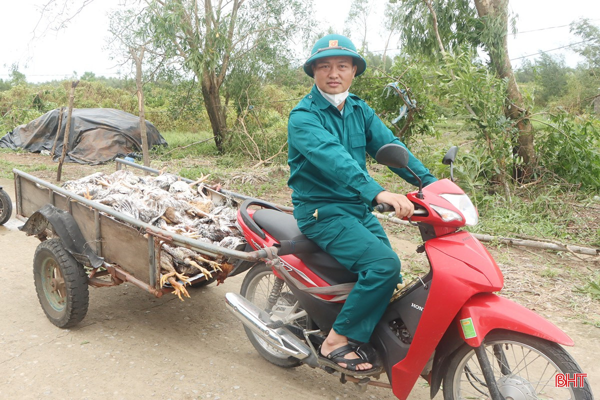 Do ảnh hưởng của bão số 5, nhiều chuồng chăn nuôi gà của 120 hộ dân ở 3 thôn: Bắc Hòa, Phú Hòa, Mỹ Hòa của xã Yên Hòa bị sập, cây cối đổ gãy đè lên chuồng khiến hàng chục nghìn con gà bị thiệt hại.
