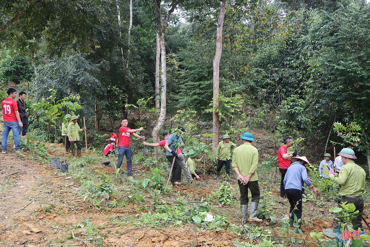 bqbht_br_0702.jpg