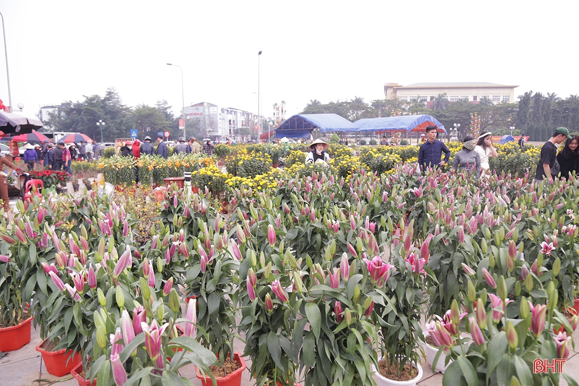 Hà Tĩnh: Nhiều người tìm mua đào, quất giá rẻ chiều 30 tết 