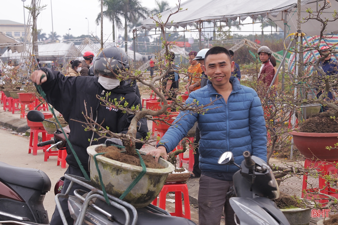 Hà Tĩnh: Nhiều người tìm mua đào, quất giá rẻ chiều 30 tết 