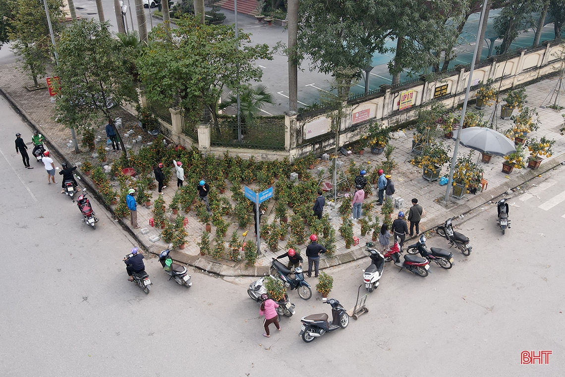Hà Tĩnh: Nhiều người tìm mua đào, quất giá rẻ chiều 30 tết 