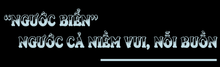 “Phố đêm” Cẩm Nhượng