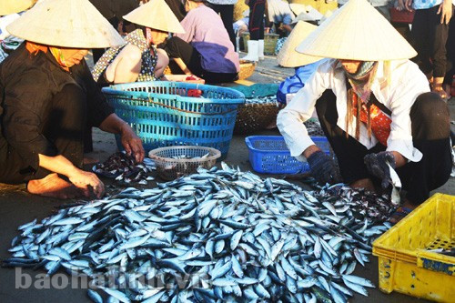 Bến cá cửa Nhượng (Ảnh minh họa) Bến cá cửa Nhượng (Ảnh minh họa)