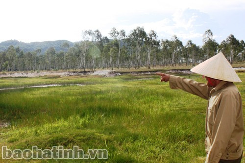 Dù đã được công nhận là di tích quốc gia từ lâu, nhưng huyện Nghi Xuân và xã Xuân Viên vẫn chưa có phương án bảo vệ di tích đặc biệt này.