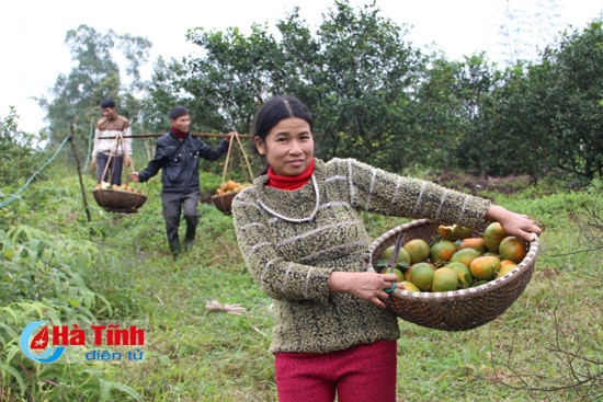 Vận chuyển từ trên đồi xuống nhà