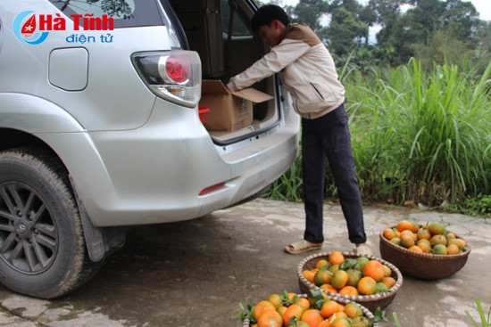 Cam bù theo những chuyến xe xuôi về các vùng miền trong, ngoài tỉnh