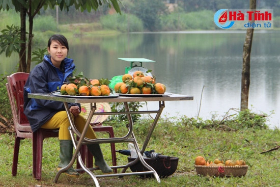 … cũng có khi họ bày bàn ghế và mang cam ra bán dọc đường quốc lộ