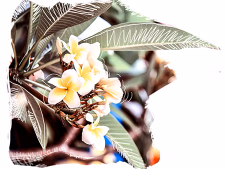 Sông Phủ, núi Nài & dấu tích của Nguyễn Công Trứ