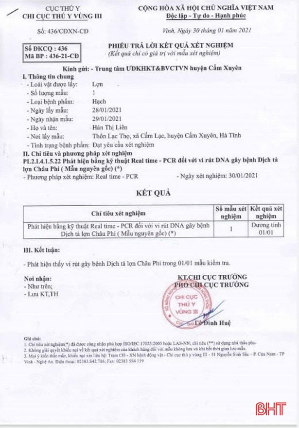 Xuất hiện mới 1 ổ dịch tả lợn châu Phi ở Cẩm Xuyên