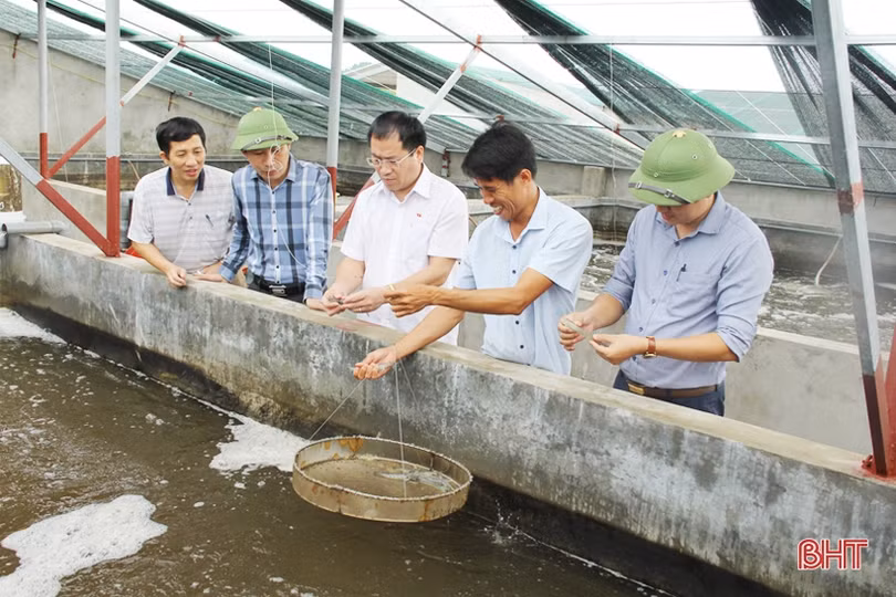 Quê biển Lộc Hà mỗi ngày lại sáng