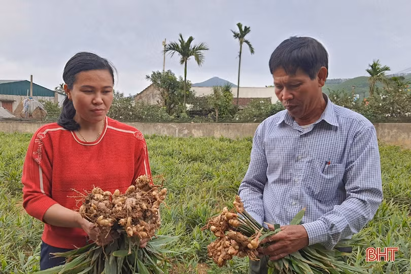Nhiều sản phẩm đắt hàng, nông dân Kỳ Đồng yên tâm sắm tết